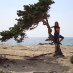 profile image of Sonia Baci