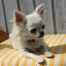 profile image of Yasmin Jane Bendixen Bach