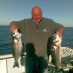 profile image of Terry Horne