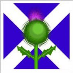 profile image of Emma Venus Smith