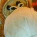 profile image of Ben Biddiss