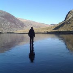 profielfoto van  Jim Bowyer