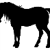 profile image of Casper
