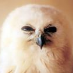 profile image of Maria Madhu Slettevold