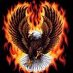 profile image of pe g.