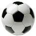 profile image of Karol Welenc
