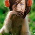 profile image of Michela Ragonese