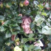 profile image of Edita Strelciunaite