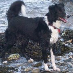 profile image of Gary Spiller