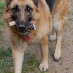 profile image of Annie Quest
