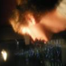 profile image of Matt McGowan