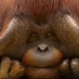 profile image of Ronan O Donovan