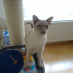 Esther