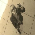 profile image of Sarah Adams