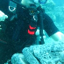 profile image of Delphine Talaron