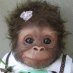 profile image of Monkey Business