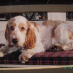 profile image of Gilly Bruce-Delon