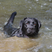 profile image of Sally R