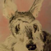 profile image of Izaak du Plooy