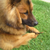 profile image of Corinne Mauger 