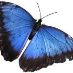 profile image of Maria Therese Bjerg