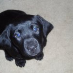 profile image of Cassie Poppy