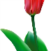 profile image of Maggi Dorn