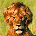 profile image of Markus Eli Straarup