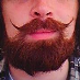 profile image of Tim Reeves