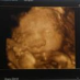profile image of Moontje Monique