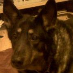 Sallie Deeks Josephs
