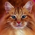 profile image of Narinda