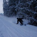 Nicklas B Havn