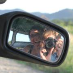 profile image of Lorena Becerra-Castro