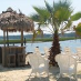 Snug Harbor Marina