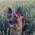 profile image of Anne Wetke Brask