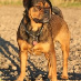 profile image of Natasja Flyvbjerg