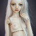 profile image of Shari Trimble