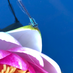 profile image of Emily Chambers