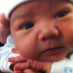 profile image of Abby Rose