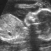 profile image of Sarah Gritti