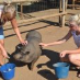 Line Brast Christensen