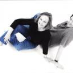 profile image of Myriam Fisher