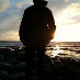 profile image of David Rowe