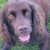 profile image of Sally Ann Green