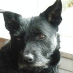 profile image of Tobias Lind