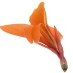 profile image of Robinsons GardenCare