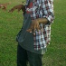 profile image of Daniel Alexis
