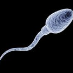 profile image of Ron Son