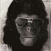 profile image of Ashley Slade